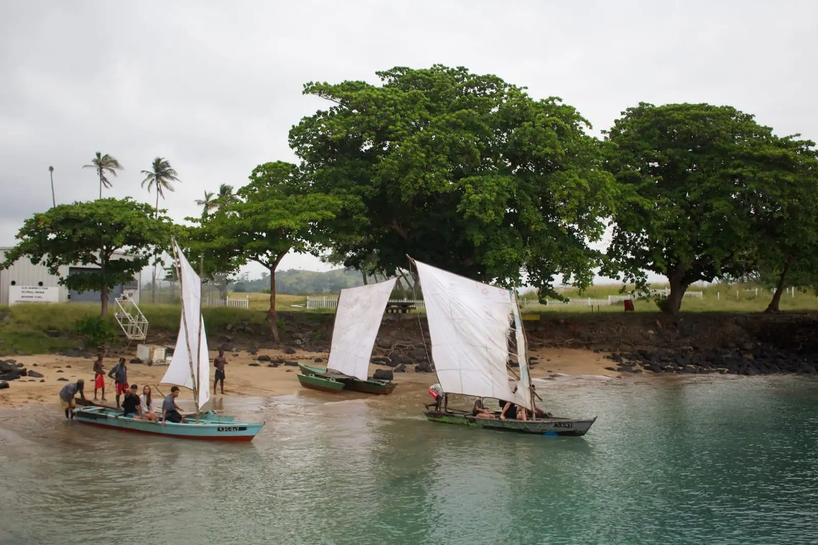 Three wooden sailing boats with white sails at a small beach cove, with large trees behind them.