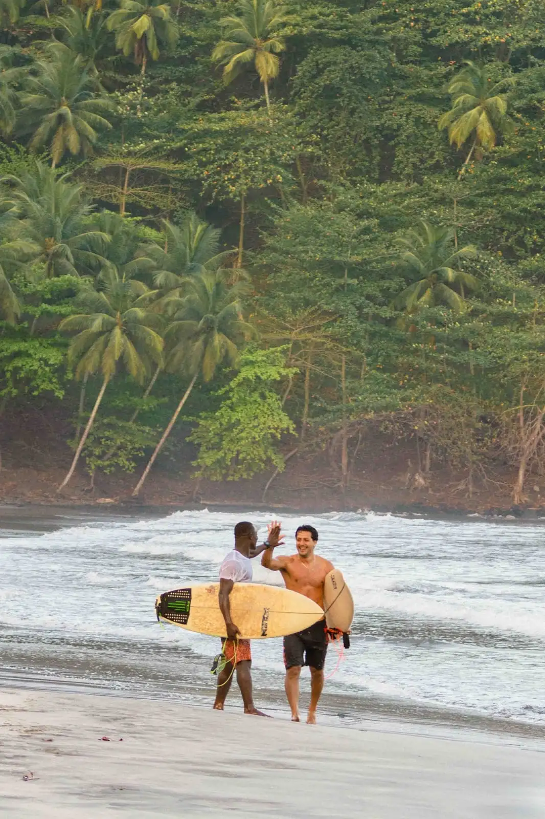 Two surfers high-five as they walk out of the water carrying boards, with a palm-covered hillside behind.