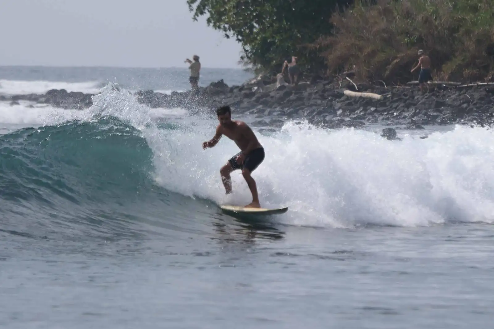 A surfer stands on a board riding a wave that breaks beside a rocky, tree-covered point.